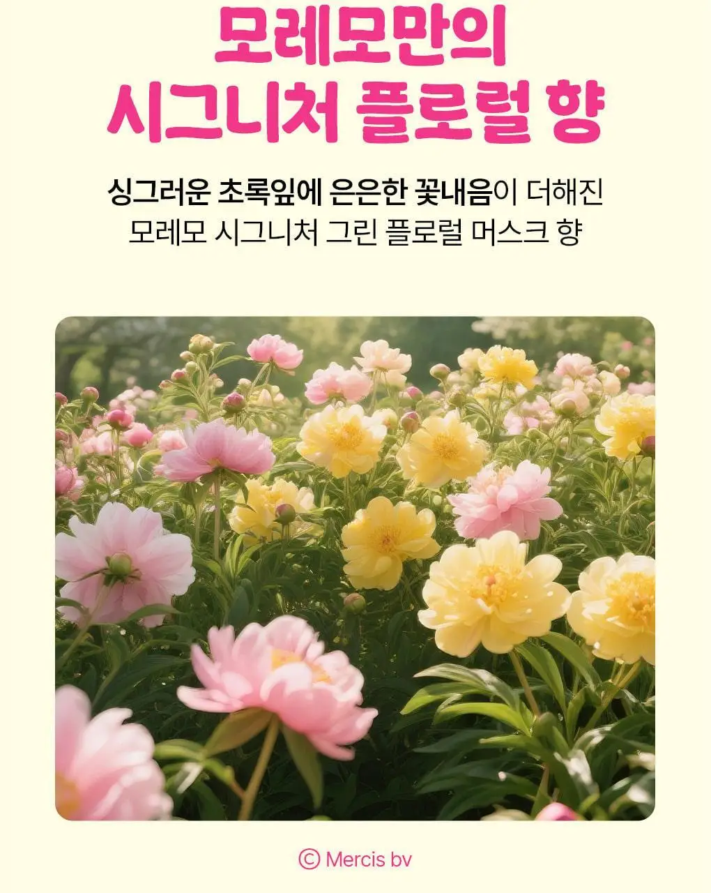 [챠미키티 에디션][손상케어] 모레모 미라클 2X 트리트먼트 475ml 기획 4종 상세페이지 75
